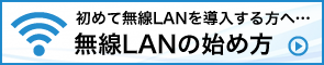 LAN̎nߕ