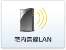 LAN
